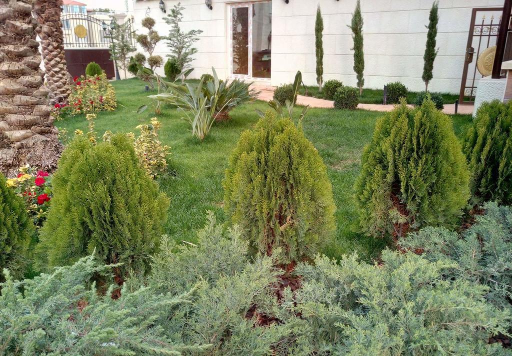 Apartament Elite Residency Amman Zewnętrze zdjęcie